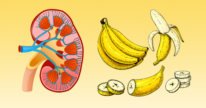 10 עובדות על בננה