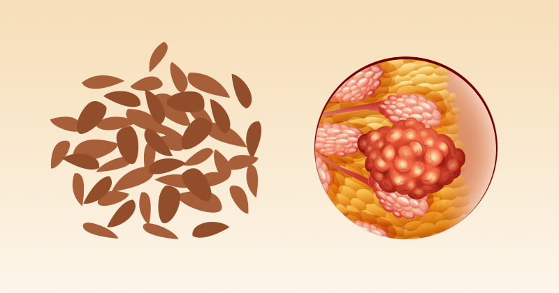 זרעי-פשתן למניעת סרטן השד