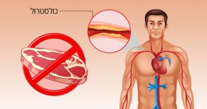 מה קורה לגוף שלכם כשאתם מפסיקים לאכול בשר?