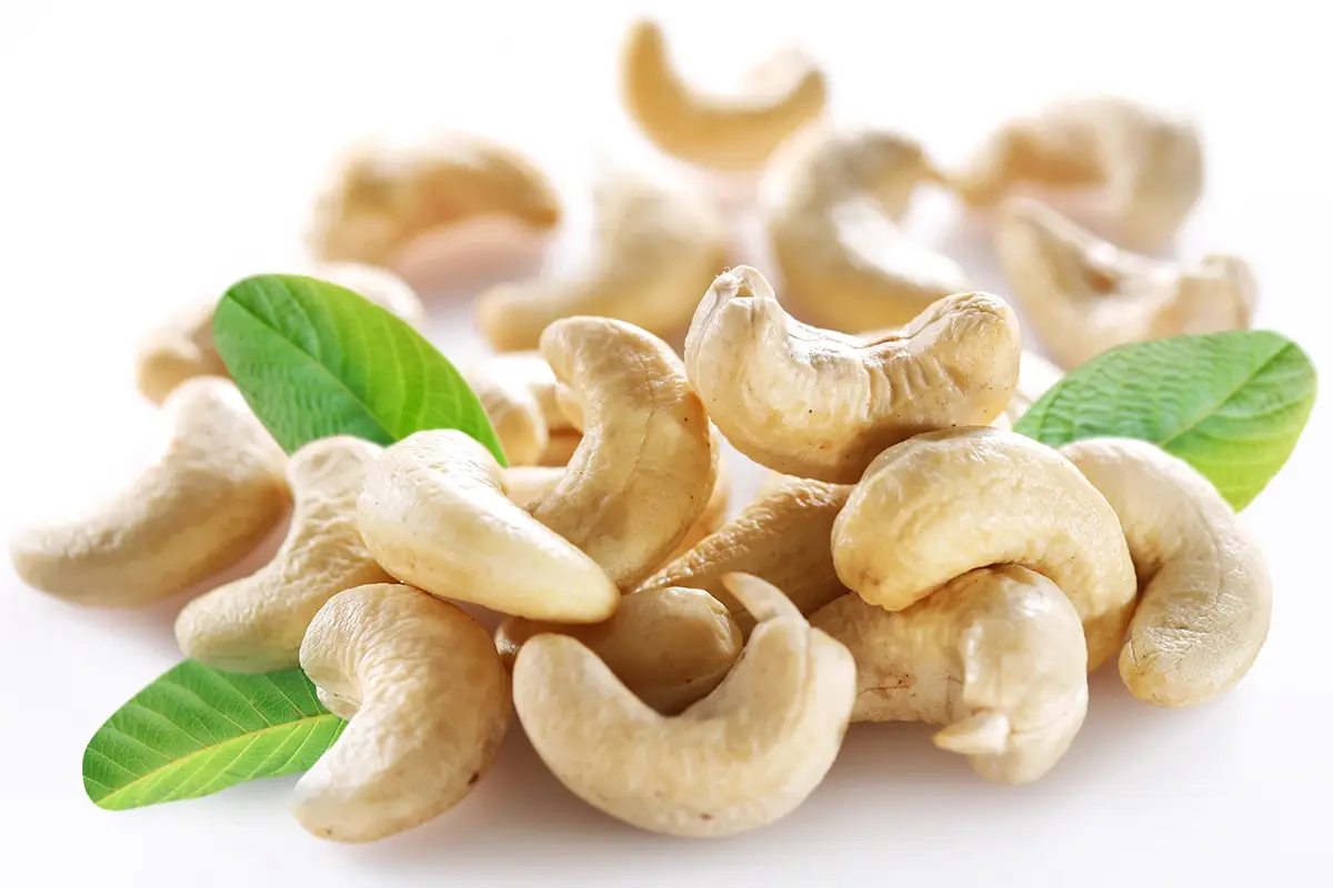 5 דברים שלא ידעתם על אגוז קשיו