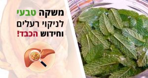 משקה טבעי לניקוי רעלים וחידוש הכבד