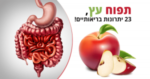 תפוח עץ, 23 יתרונות בריאותיים, ערך תזונתי וזנים נפוצים
