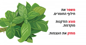 בזיליקום (ריחן מצוי), 12 יתרונות בריאותיים מדהימים