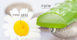 טחורים - 4 טיפולים טבעיים להקלה, הרגעה וריפוי