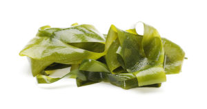 אצות ים (Kelp) הסיבה שחשוב לשלב אותן בתזונה