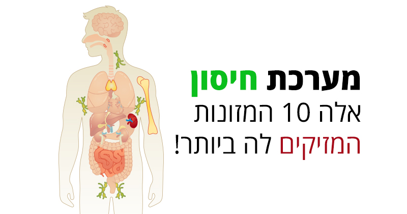 מערכת חיסון, אלה 10 המאכלים המזיקים לה ביותר