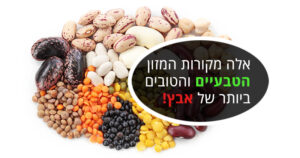 אבץ, מקורות המזון הטבעיים השופעים ביותר במינרל