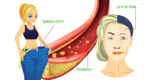נחושת, מה תפקידיה בגוף ומקורות המזון האיכותיים