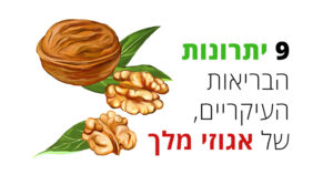 אגוזי מלך, 9 מיתרונות הבריאות שכדאי לכם להכיר