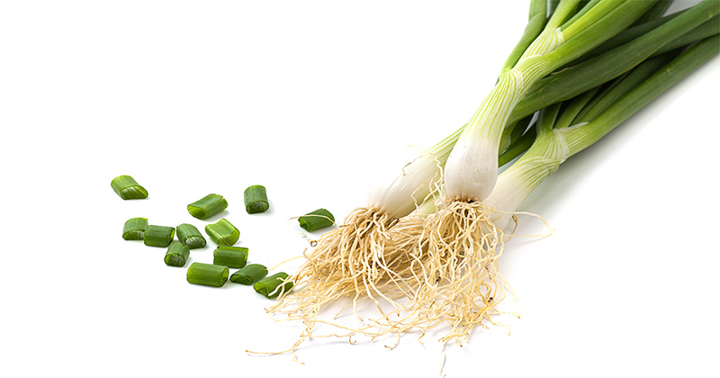 בצל ירוק, 9 יתרונות הבריאות העיקריים שלו