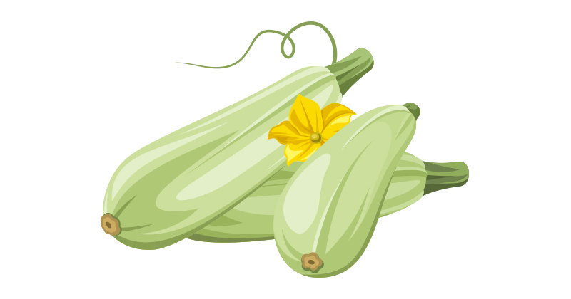 קישוא, 7 סיבות בריאות לאכול אותו כל יום