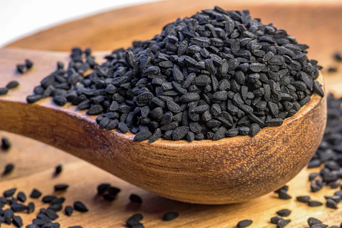 קצח, יתרונות הבריאות שחשוב לדעת