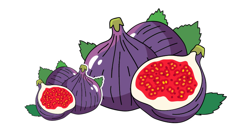 תאנה, יתרונות בריאותיים וערך תזונתי