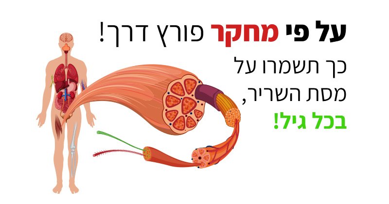 כיצד תפוח ועגבנייה שומרים על מסת השריר בכל גיל?