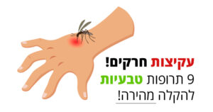 עקיצות חרקים? כך תטפלו בהן באופן טבעי ובקלות