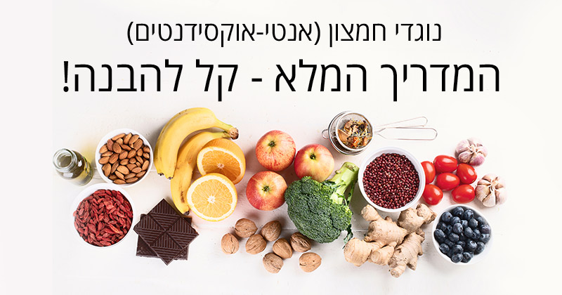 נוגדי חמצון (אנטיאוקסידנטים)