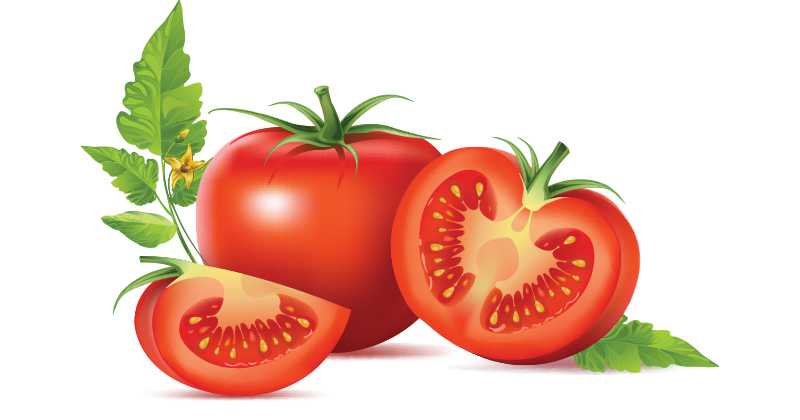 עגבנייה