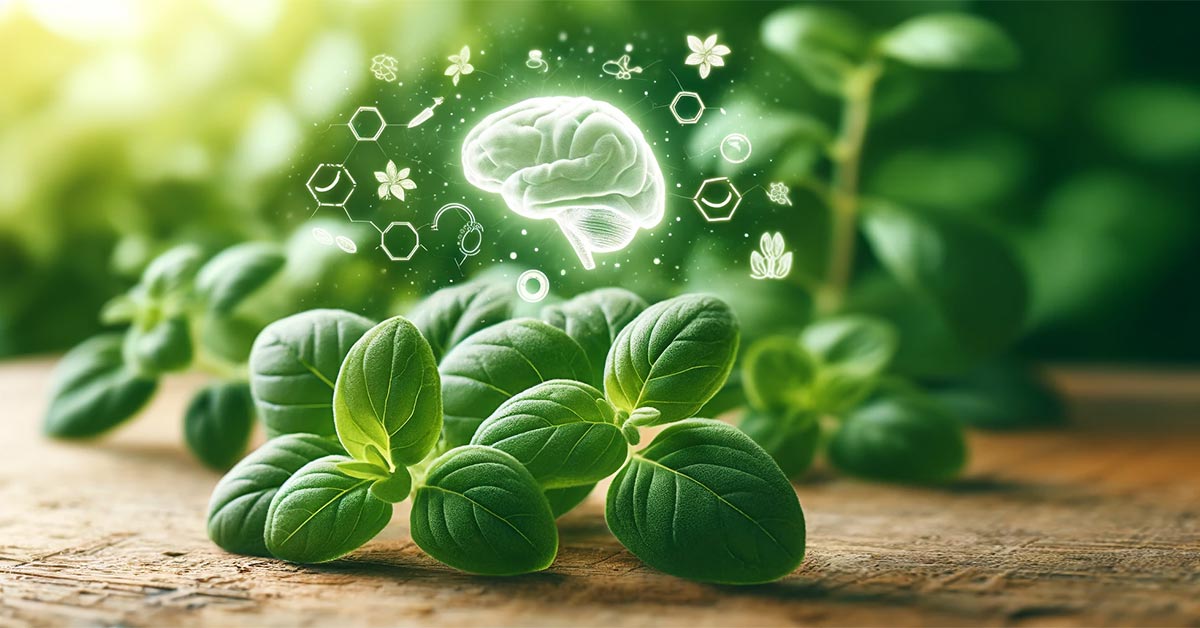 אורגנו - 5 יתרונות לבריאות המוח שכדאי להכיר!