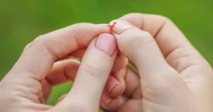 חלבון - כך תדעו אם יש לכם חוסר וכיצד להשלים אותו