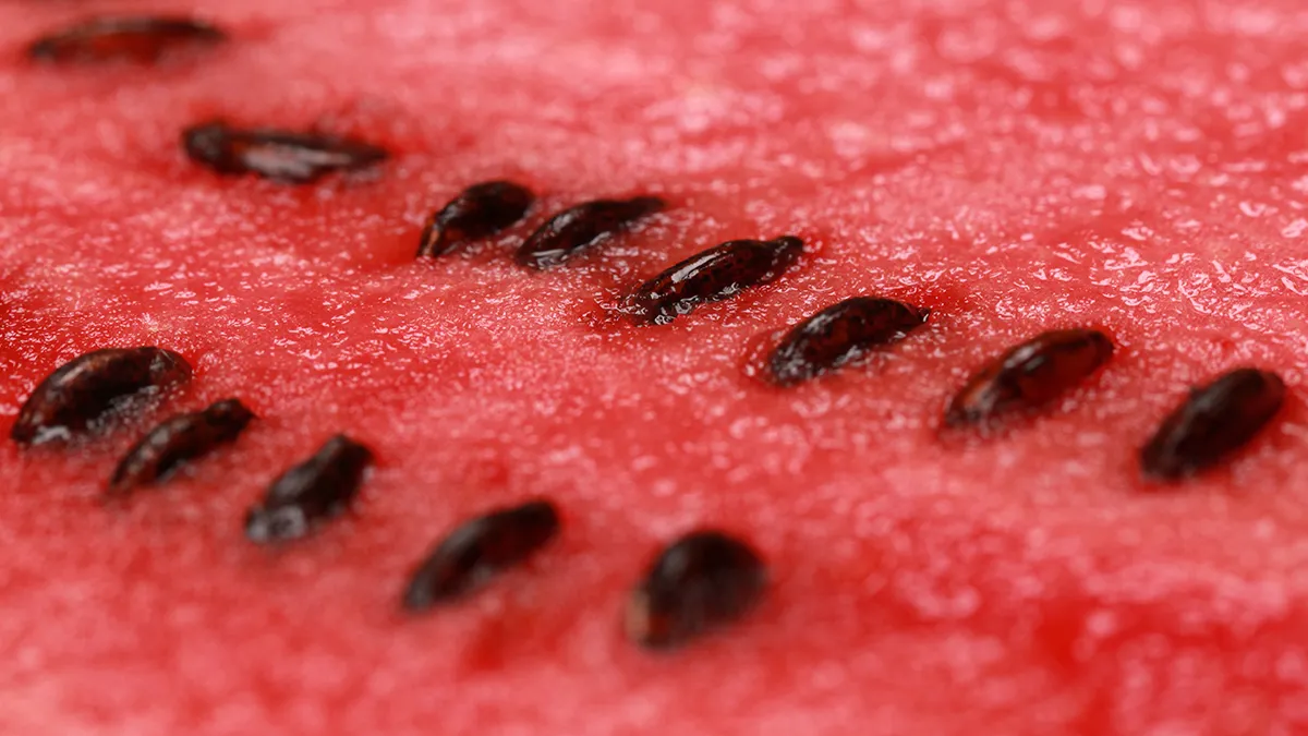 גרעיני אבטיח: פצצת חלבון, מינרלים ושומנים בריאים שהגוף שלכם חייב