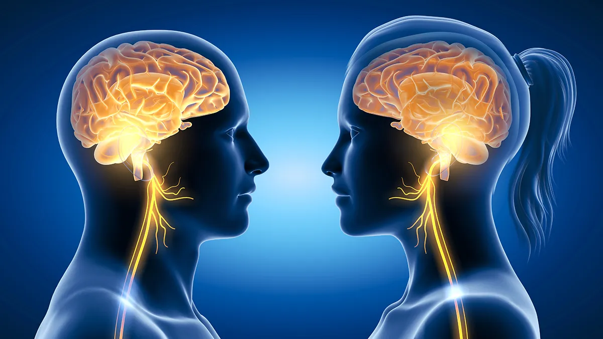 עצב הואגוס: האיבר הסודי ששולט בלחץ, בעיכול ואפילו במצב הרוח שלכם