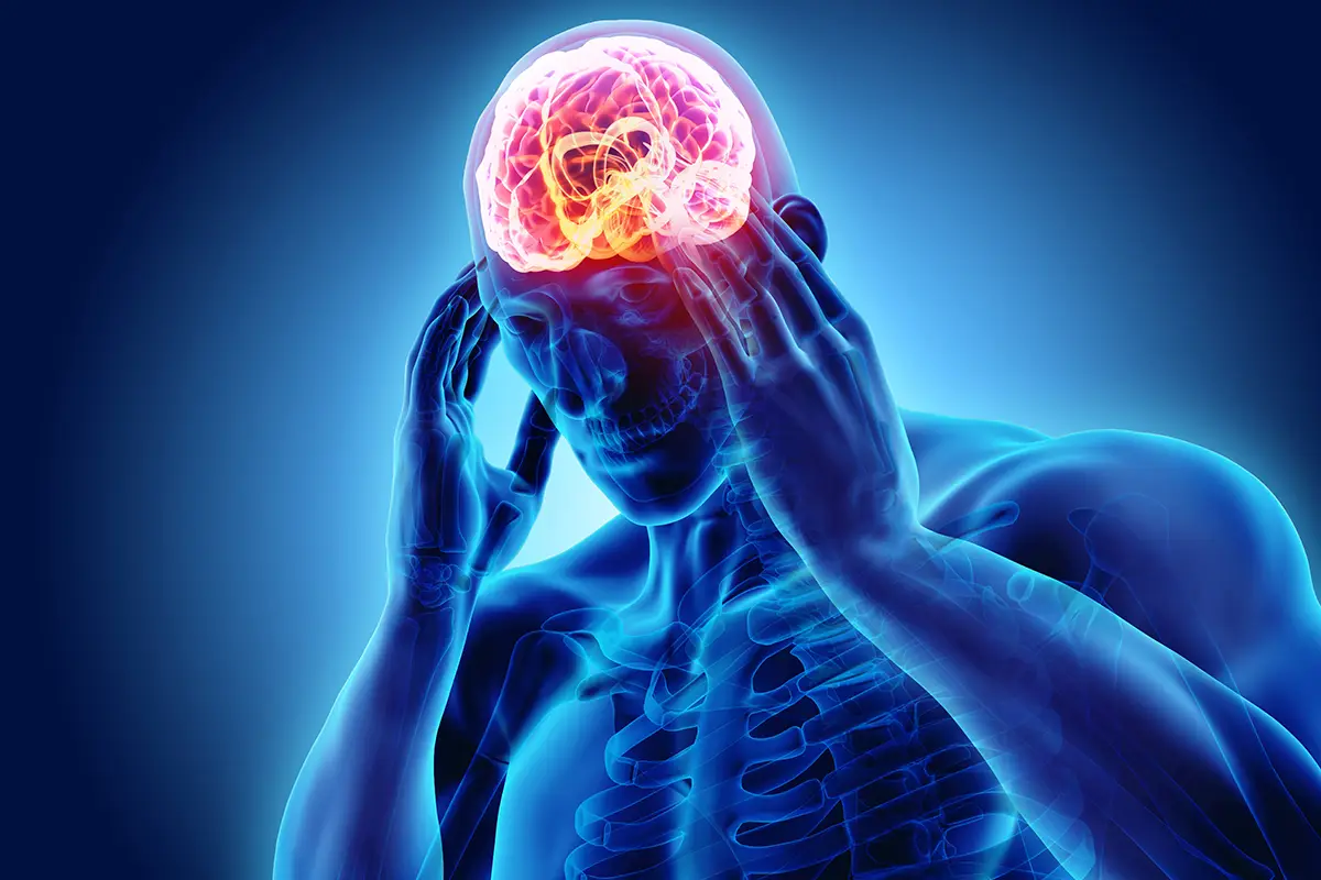 לחץ ממושך משנה את חיווט המוח - ומה באמת עוזר לגוף להתאושש