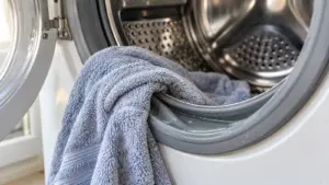 ריח עובש בכביסה: מגבת לחה תלויה על גומי הדלת של מכונת כביסה פתוחה ומעט מים עומדים בקפל התחתון של הגומי