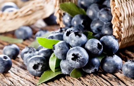 אוכמניות: 7 סיבות מפתיעות להתחיל לאכול מהן כבר היום