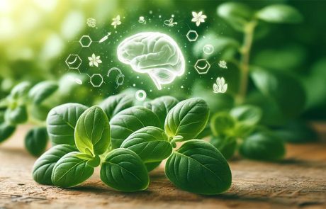 אורגנו - 5 יתרונות לבריאות המוח שכדאי להכיר!