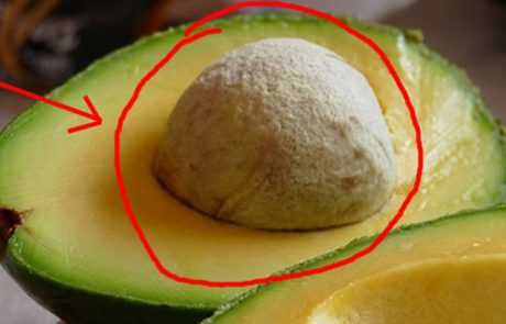 5 עובדות חשובות על אבוקדו שאתם חייבים לדעת