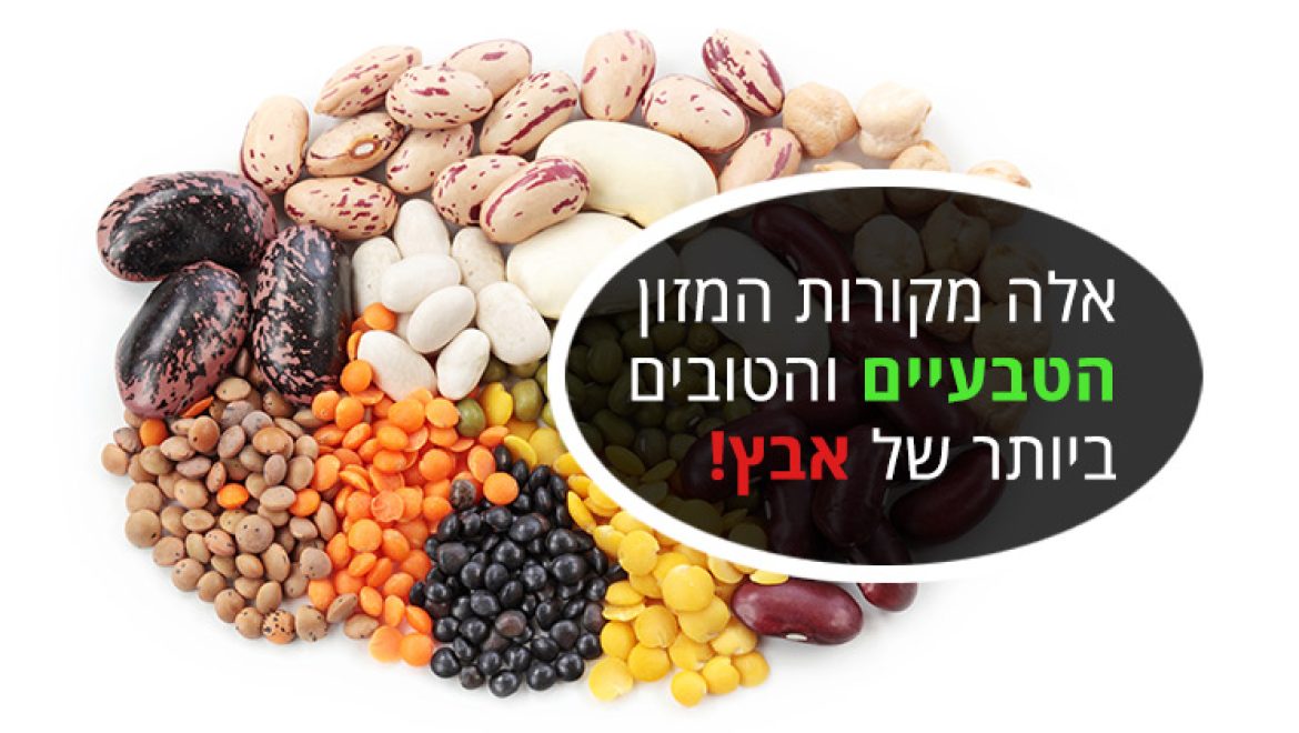אבץ, מקורות המזון הטבעיים השופעים ביותר במינרל