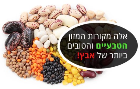 אבץ, מקורות המזון הטבעיים השופעים ביותר במינרל