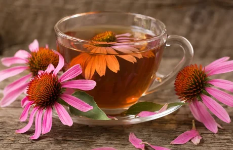 הצמח שמערכת החיסון שלכם צריכה דווקא בקיץ - ולא, זה לא ויטמין C