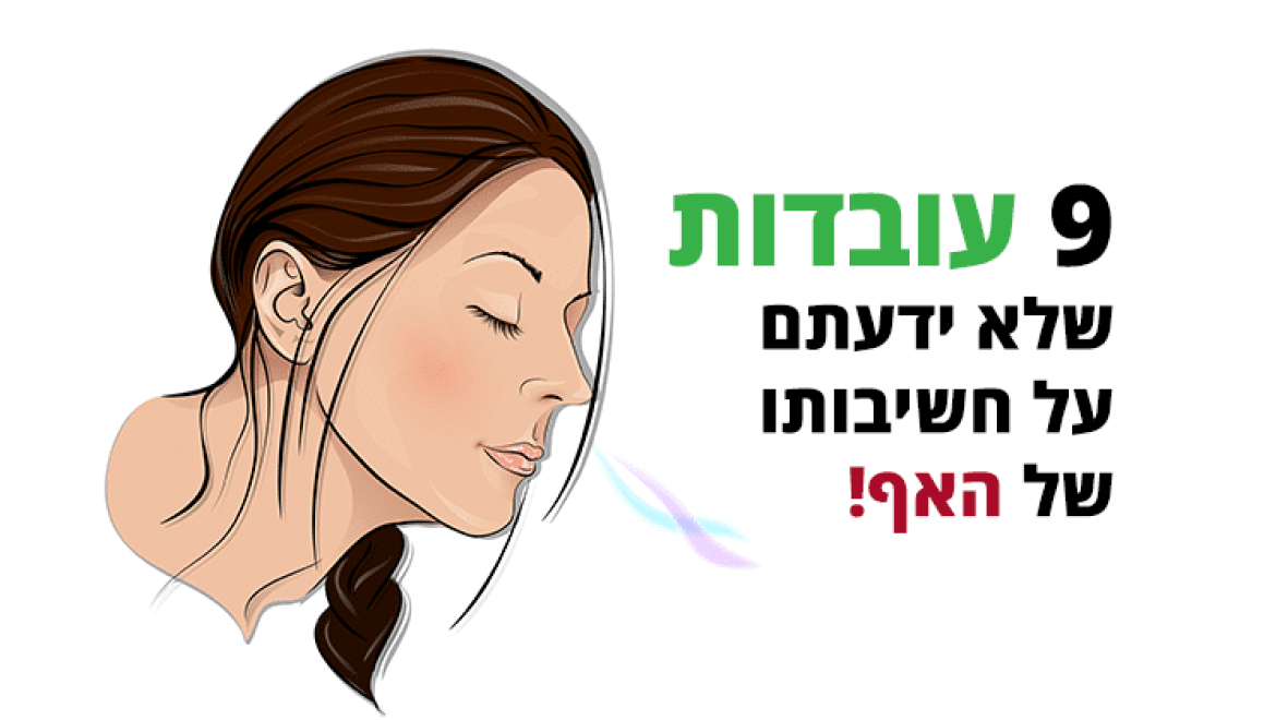 אף (חוטם), 9 עובדות שאתם כנראה לא יודעים עליו