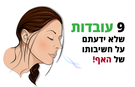 אף (חוטם), 9 עובדות שאתם כנראה לא יודעים עליו