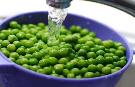 איך אפונה יכולה לשפר את העיכול, לשמור על משקל בריא ולהגן על הגוף