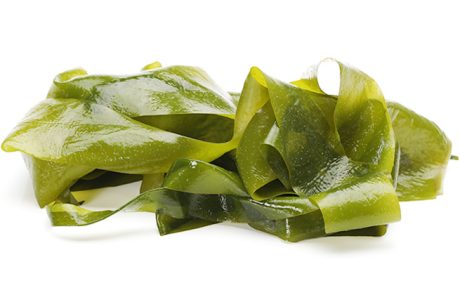 אצות ים (Kelp) הסיבה שחשוב לשלב אותן בתזונה