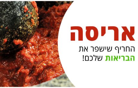 אריסה ערך תזונתי, מרכיבים וכיצד לשלב אותה במאכלים