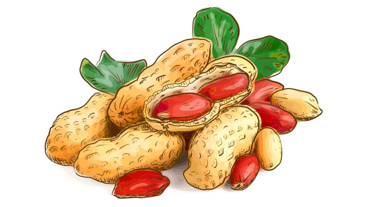 בוטנים, ערך תזונתי ויתרונות בריאותיים נהדרים
