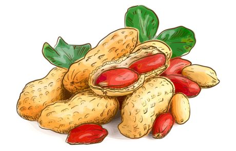 בוטנים, ערך תזונתי ויתרונות בריאותיים נהדרים