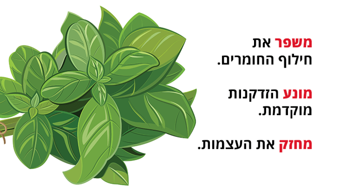 בזיליקום (ריחן מצוי), 12 יתרונות בריאותיים מדהימים