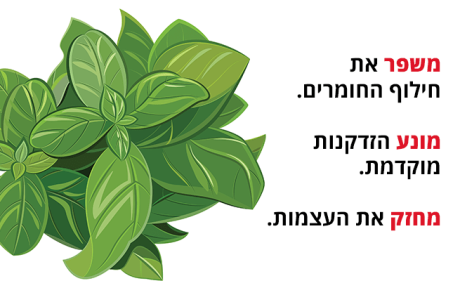 בזיליקום (ריחן מצוי), 12 יתרונות בריאותיים מדהימים
