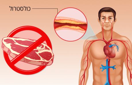 מה קורה לגוף שלכם כשאתם מפסיקים לאכול בשר?
