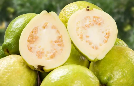 גויאבה, מהדיאטה ועד האנטי-אייג'ינג: 8 יתרונות בריאותיים מפתיעים