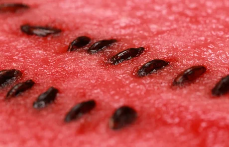 גרעיני אבטיח: פצצת חלבון, מינרלים ושומנים בריאים שהגוף שלכם חייב