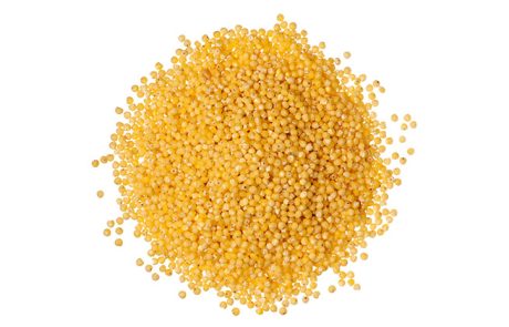 מה זה דוחן? יתרונות בריאותיים וערך תזונתי