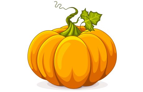 דלעת, ערך תזונתי ויתרונות הבריאות העיקריים