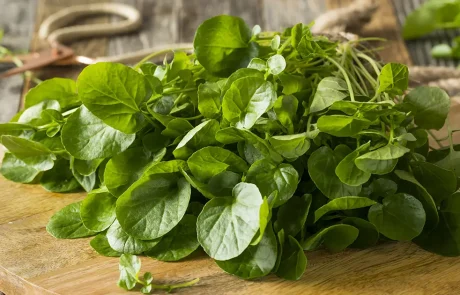 דנ"א - המזון שיעזור לכם לתקן את הנזקים המתרחשים יום יום