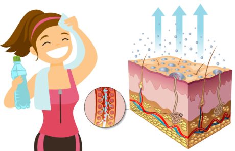 הזעה מסלקת מהגוף מתכות מסוכנות, רעלים ועוד