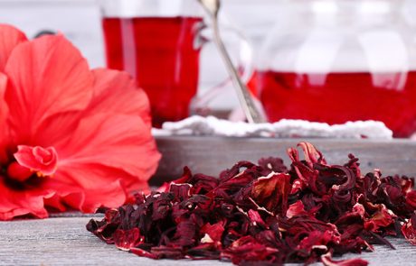 היביסקוס, 11 יתרונות בריאותיים שנבדקו מחקרית